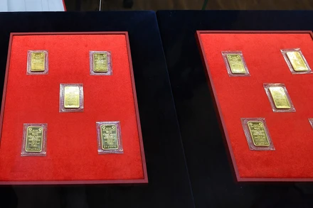 (Ảnh: THÀNH ĐẠT)