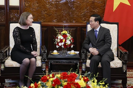 Chủ tịch nước Võ Văn Thưởng tiếp Đại sứ Cộng hòa Ireland Deirdre Ni Fhalluin. (Ảnh: TTXVN) 