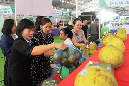 Đông đảo khách hàng chọn mua nông sản sạch.