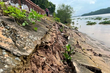 Đoạn bờ kè dọc sông Bến Tre bị sạt lở.