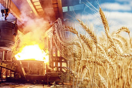 Chỉ số hàng hóa MXV-Index quay đầu suy yếu