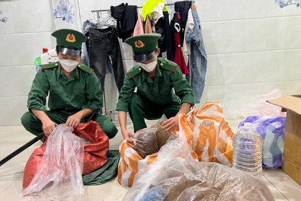 Số thảo mộc tẩm ma túy của Ngô Văn Sang bị lực lượng phòng, chống ma túy và tội phạm Bộ đội Biên phòng Đà Nẵng phát hiện, thu giữ. 