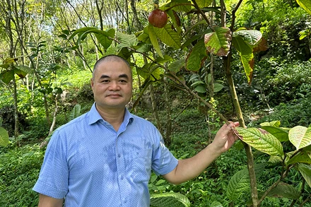 TS Vũ Văn Tâm tại Công viên Trà Hoa vàng, Thung lũng Cổ Ngựa, huyện Nho Quan, Ninh Bình.