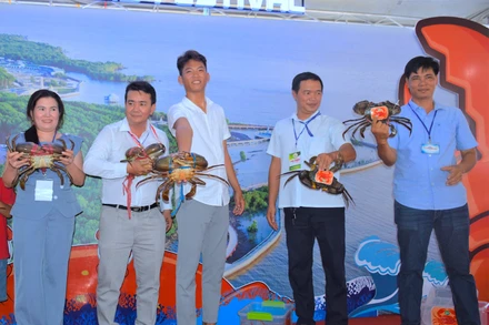 Nhiều đơn vị, cá nhân mang cua biển to đến tham gia phần thi “Cua Cà Mau lớn nhất - Cua Sumo”.