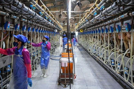 Đẩy mạnh công nghiệp hóa, hiện đại hóa gắn với phát triển kinh tế tri thức