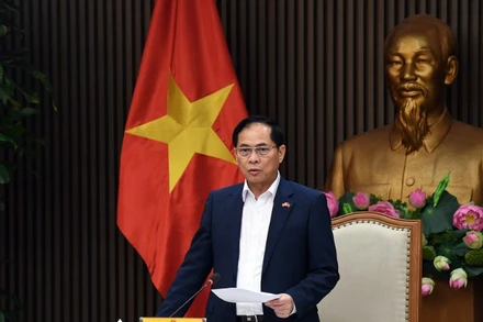 Phó Thủ tướng, Bộ trưởng Ngoại giao Bùi Thanh Sơn phát biểu chỉ đạo tại buổi họp. (Ảnh: VGP)