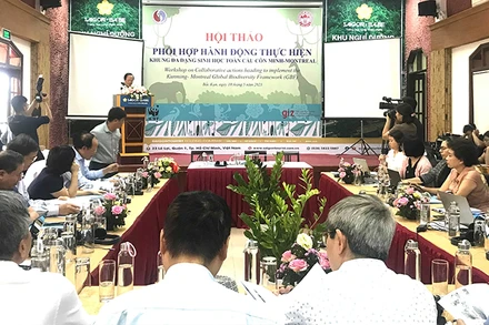Quang cảnh hội thảo.
