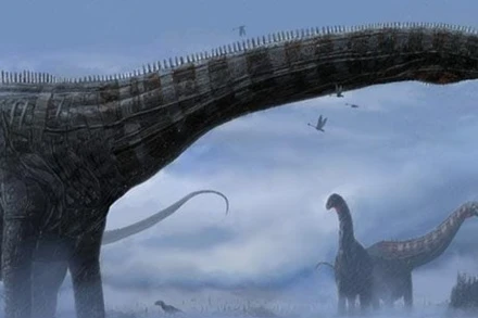 Các nhà khoa học đã tìm thấy hóa thạch của 4 loài khủng long ở thung lũng ở Patagonia của Chile. (Ảnh: NDTV)