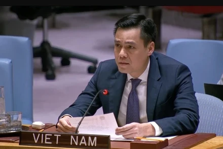 Đại sứ Đặng Hoàng Giang, Trưởng Phái đoàn Thường trực Việt Nam tại Liên hợp quốc, phát biểu tại phiên thảo luận. (Ảnh: Hoài Thanh/TTXVN)