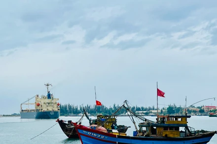 Phát triển kinh tế biển ở Quảng Nam tuân thủ các quy định chống khai thác IUU 