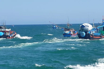 Quảng Ngãi cương quyết xử lý nghiêm các chủ tàu cá vi phạm hành chính trong lĩnh vực thủy sản. 