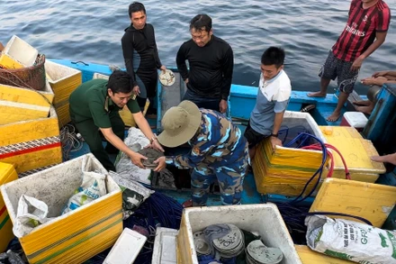 Lực lượng Bộ đội Biên phòng Quảng Ngãi kiểm đếm, tạm giữ số hiện vật gốm sứ do các ngư dân trên tàu cá BĐ 10546TS khai thác trái phép trên vùng biển huyện Bình Sơn.