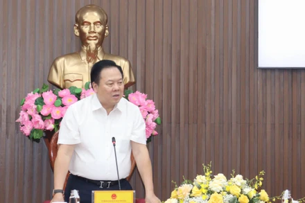 Đồng chí Nguyễn Hoàng Anh, Ủy viên Trung ương Đảng, Chủ tịch Ủy ban Quản lý vốn nhà nước tại doanh nghiệp phát biểu tại buổi làm việc.