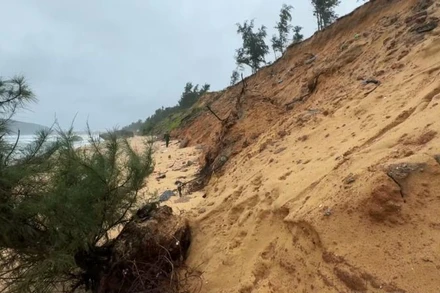 Bờ biển thôn Tuyết Diêm 1, xã Bình Thuận, huyện Bình Sơn bị sạt lở nhiều đoạn, xói sâu vào đất liền khoảng 7m, cục bộ có đoạn bị sạt lở đến khoảng 15m.