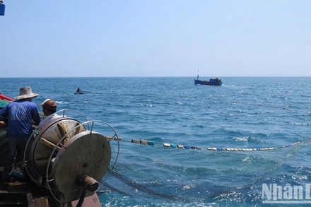 Ngư nghiệp, ngư dân và ngư trường là 3 vấn đề cốt lõi mà tỉnh Quảng Ngãi cần sớm giải quyết hiệu quả nhằm phát triển kinh tế thủy sản bền vững.