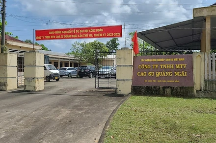 Trụ sở Công ty trách nhiệm hữu hạn một thành viên cao su Quảng Ngãi.