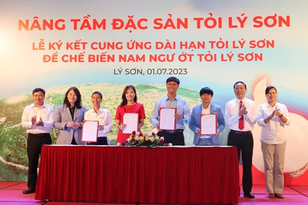 Việc ký kết cung ứng dài hạn tỏi Lý Sơn để chế biến Nam Ngư ớt tỏi Lý Sơn sẽ góp phần nâng tầm đặc sản tỏi Lý Sơn trở thành thương hiệu tỏi quốc gia. 