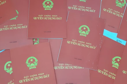 3 cán bộ, công chức phường Phổ Quang, thị xã Đức Phổ (Quảng Ngãi) bị kỷ luật do vi phạm trong tiếp nhận, giải quyết hồ sơ đề nghị cấp giấy chứng nhận quyền sử dụng đất cho công dân.