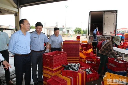 Thứ trưởng Nông nghiệp và Phát triển nông thôn Phùng Đức Tiến kiểm tra công tác chống khai thác IUU tại Quảng Ngãi vào giữa tháng 9 vừa qua. 