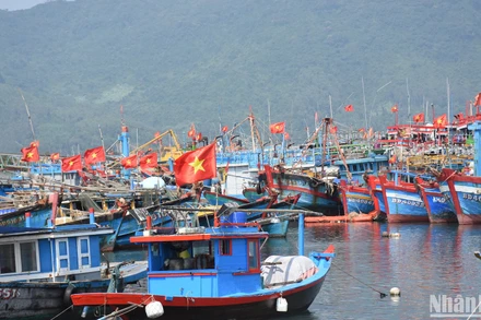 Hàng trăm tàu cá của ngư dân khu vực miền trung đang neo đậu tại Âu thuyền và cảng cá Thọ Quang sẽ ra khơi cho chuyến biển đầu năm trong vài ngày tới.