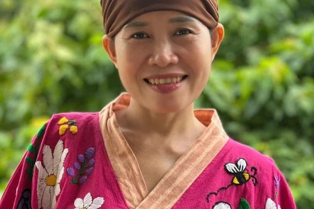 Nhà phê bình Hoàng Thụy Anh.