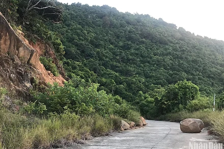 Đà Nẵng cấm người và phương tiện lên bán đảo Sơn Trà đến hết ngày 26/4 