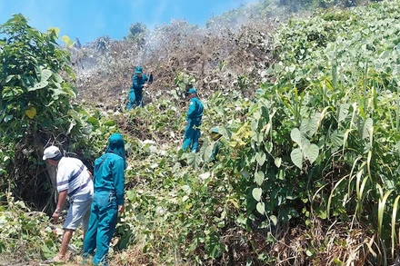 Lực lượng chức năng thành phố Đà Nẵng kịp thời khống chế vụ cháy rừng tại đèo Hải Vân. (Ảnh: CTV) 