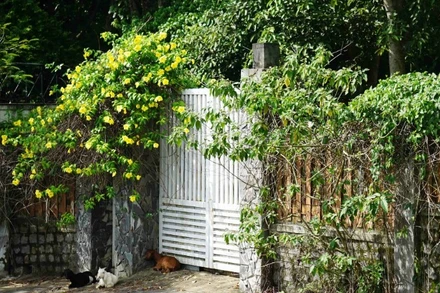 Đà Nẵng thu hồi 7.413m2 của thửa đất số 09 khu biệt thự Suối Đá - Sơn Trà. 