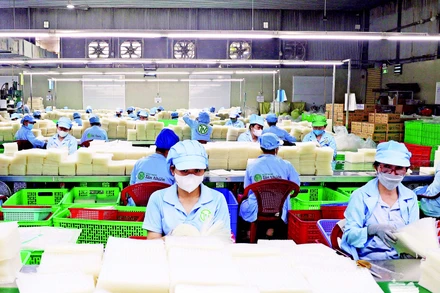 Dây chuyền sản xuất bánh tráng thành phẩm của Công ty TNHH Tân Nhiên, tỉnh Tây Ninh. (Ảnh: TTXVN)