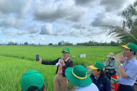 Cán bộ khuyến nông hướng dẫn canh tác thông minh cho thành viên Hợp tác xã Dịch vụ nông nghiệp Thanh niên Phú Hòa, xã Tân Hội, huyện Tân Hiệp, tỉnh Kiên Giang. (Ảnh MINH ANH)