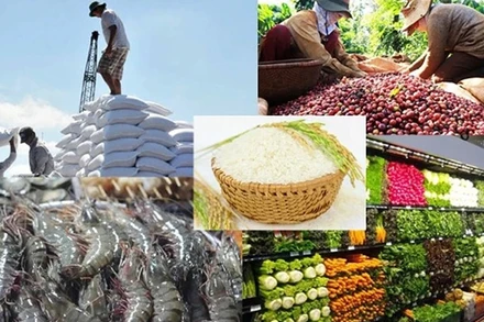 Các mặt hàng xuất khẩu của Việt Nam sang EU.