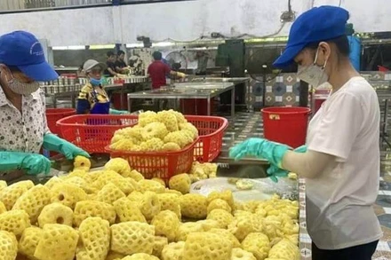 Dứa là một trong những sản phẩm nông sản xuất khẩu của Thanh Hóa.