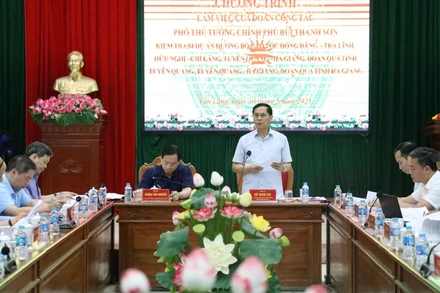 Phó Thủ tướng Chính phủ Bùi Thanh Sơn chỉ đạo tại buổi làm việc.