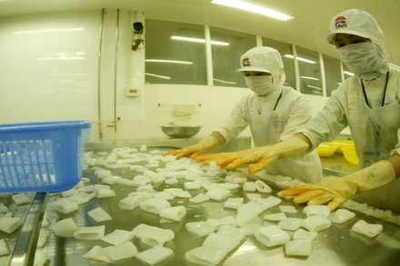 Năm 2024, Việt Nam có nhiều cơ hội xuất khẩu thủy sản sang Hàn Quốc.