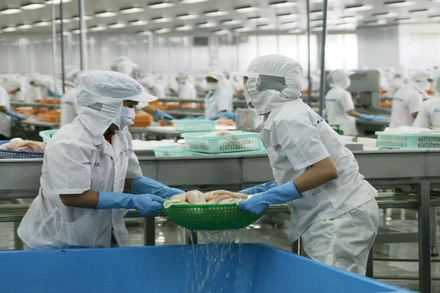 Dự báo xuất khẩu cá tra sẽ tăng trưởng từ quý III/2024.