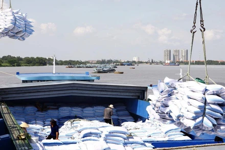 Kim ngạch xuất khẩu gạo tăng cao tạo động lực cho sản xuất lúa trong nước. 