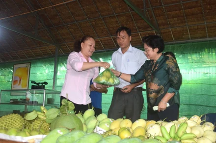 Quả xoài đang có nhiều cơ hội xuất khẩu vào thị trường Mỹ.