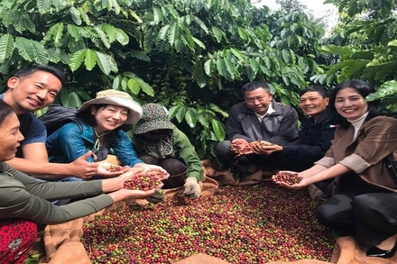 Cà-phê là một trong những nông sản Việt Nam xuất khẩu nhiều vào thị trường ASEAN.