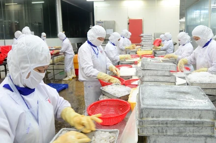 Thủy sản Việt Nam là một trong những mặt hàng có mặt tại hệ thống bán lẻ trên nhiều quốc gia trên thế giới. (Ảnh: ĐỨC AN)