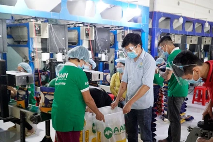 Năm 2025, xuất khẩu gạo của Việt Nam gặp nhiều thách thức do nguồn cung toàn cầu tăng.