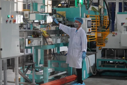 Gạo Việt Nam đang được xuất khẩu nhiều sang các nước châu Phi.