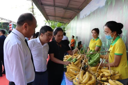 Sản phẩm chuối của Việt Nam rộng đường xuất khẩu sang thị trường Trung Quốc. 
