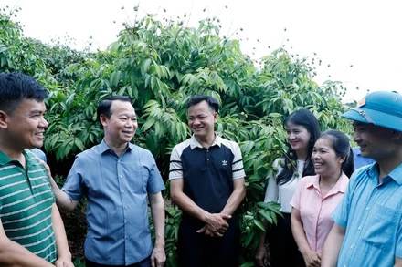 Bộ trưởng Nông nghiệp và Môi trường Đỗ Đức Duy trao đổi với chủ vườn vải, cán bộ khuyến nông, doanh nghiệp thu mua vải thiều tại huyện Tân Yên, tỉnh Bắc Giang. (Ảnh: KHƯƠNG TRUNG)