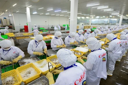 Thủy sản là một trong những mặt hàng còn nhiều tiềm năng xuất khẩu sang thị trường khu vực Đông Bắc Á.