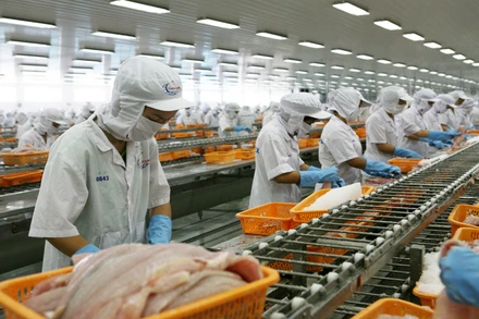 Việt Nam lần đầu tiên vươn lên vị trí đối tác xuất khẩu thủy sản lớn thứ 5 vào thị trường Singapore. 