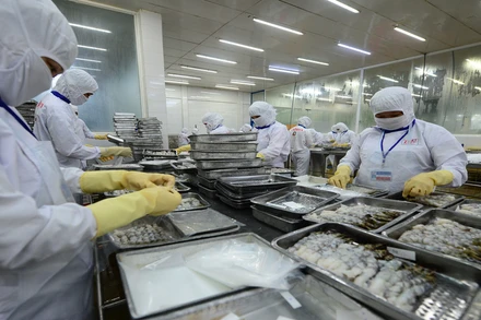 Xuất khẩu thủy sản sang Australia tăng mạnh trong 2 tháng đầu năm 2024.