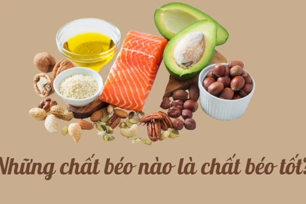 Những chất béo nào là chất béo tốt?