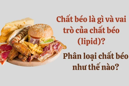 Chất béo là gì và vai trò của chất béo (lipid)? Phân loại chất béo như thế nào?