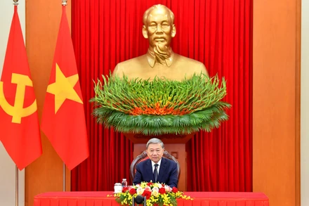 Tổng Bí thư Tô Lâm điện đàm với Chủ tịch Đảng Đại hội Dân tộc Phi, Tổng thống Nam Phi Cyril Ramaphosa.