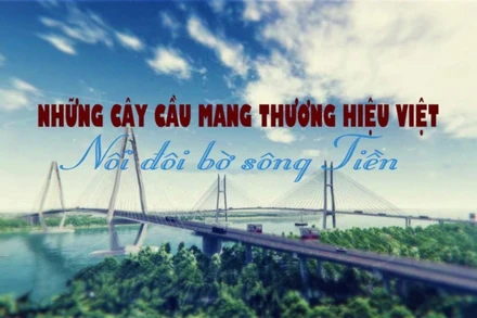 Người Việt làm chủ công nghệ xây cầu dây văng qua sông Tiền